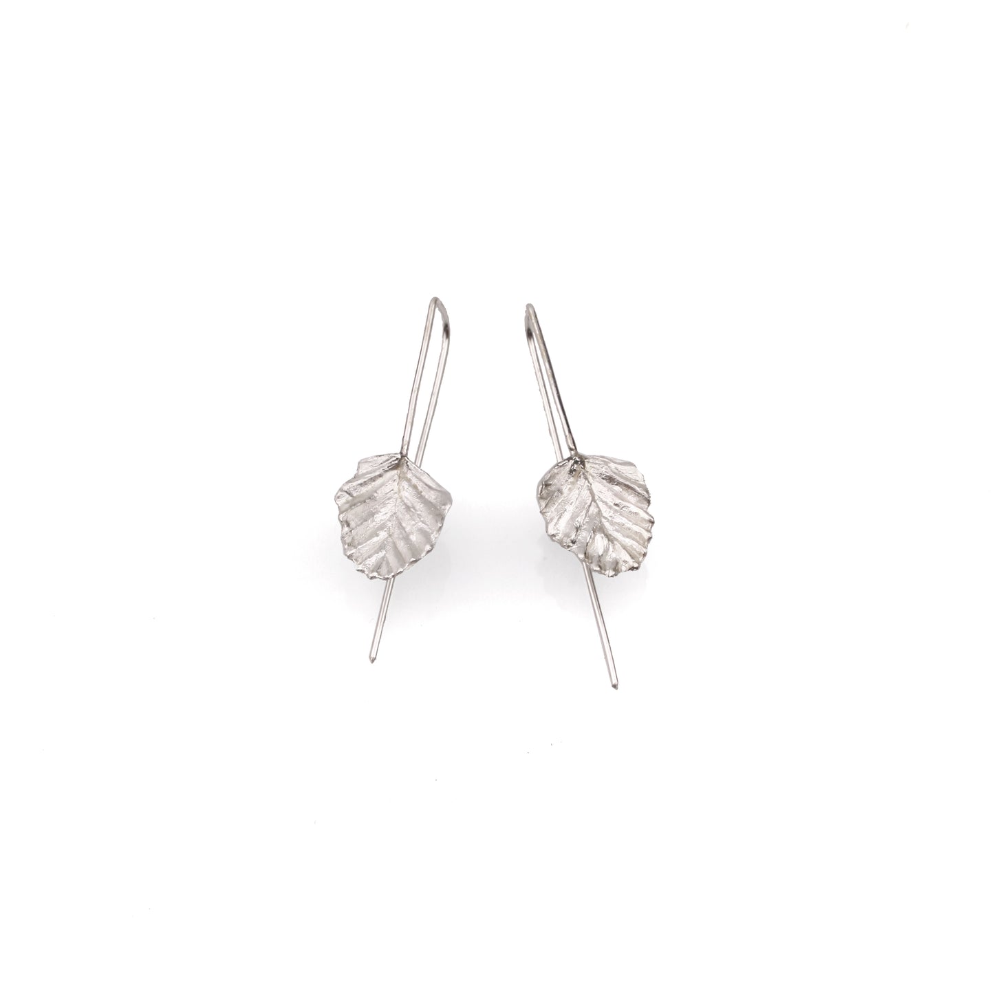 Nothofagus gunnii Hook Earrings (Medium leaf)