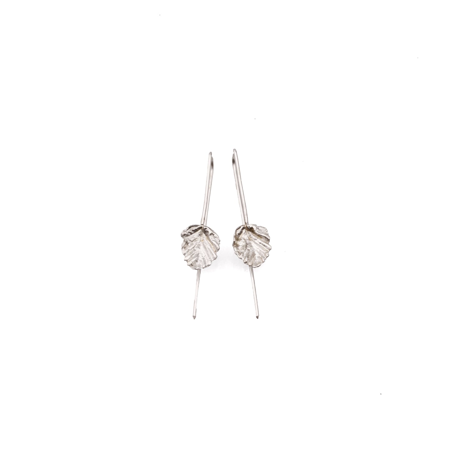 Nothofagus gunnii Hook Earrings (Small leaf)