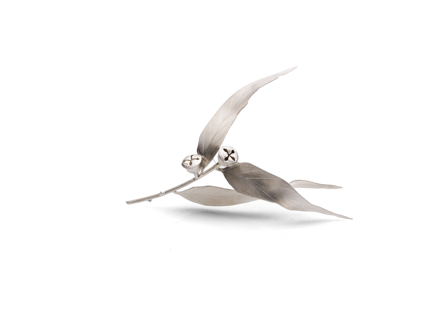 Blue Gum Brooch (Eucalyptus globulous subsp. globulous (Tasmanian Blue Gum)