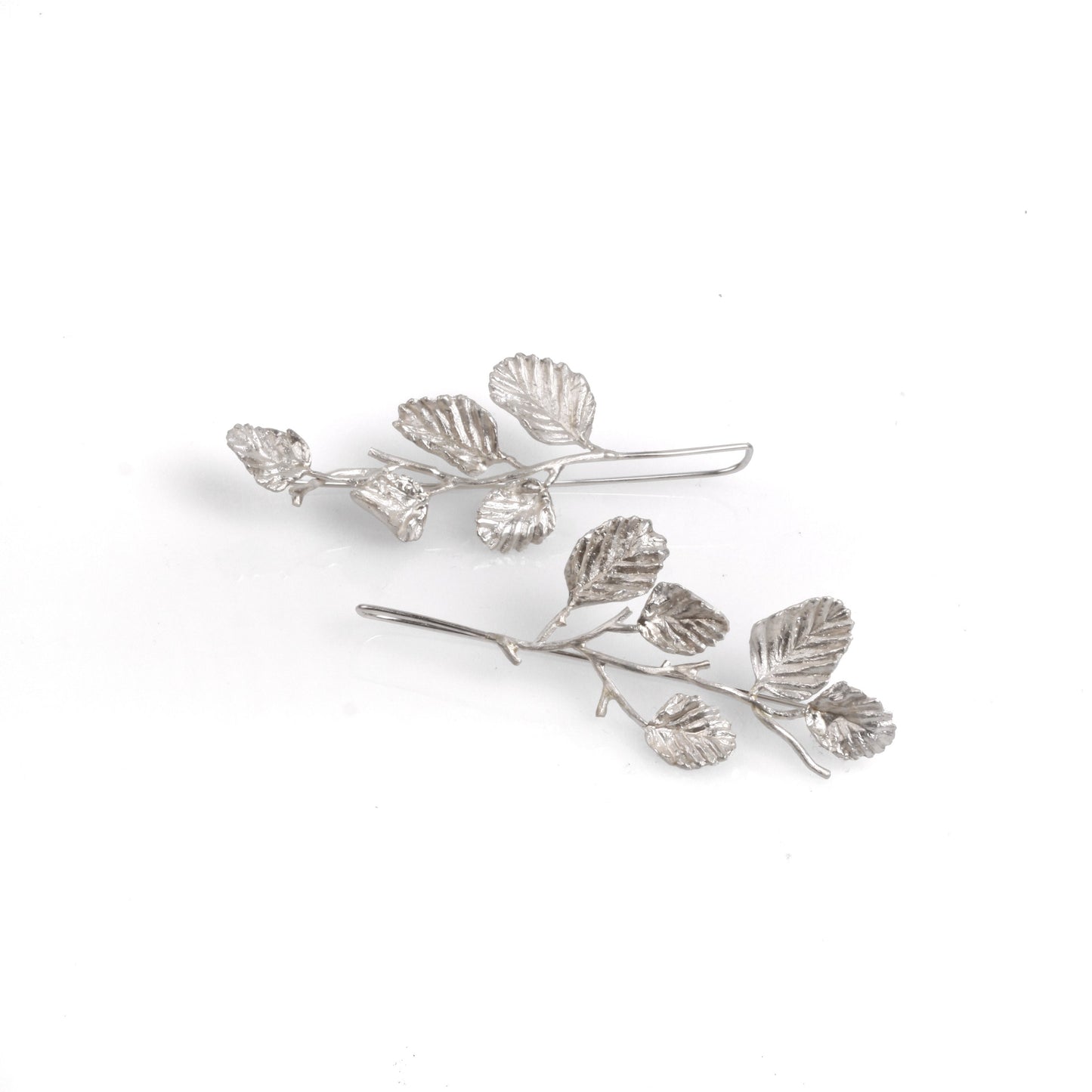 Nothofagus gunnii Branch Hooks