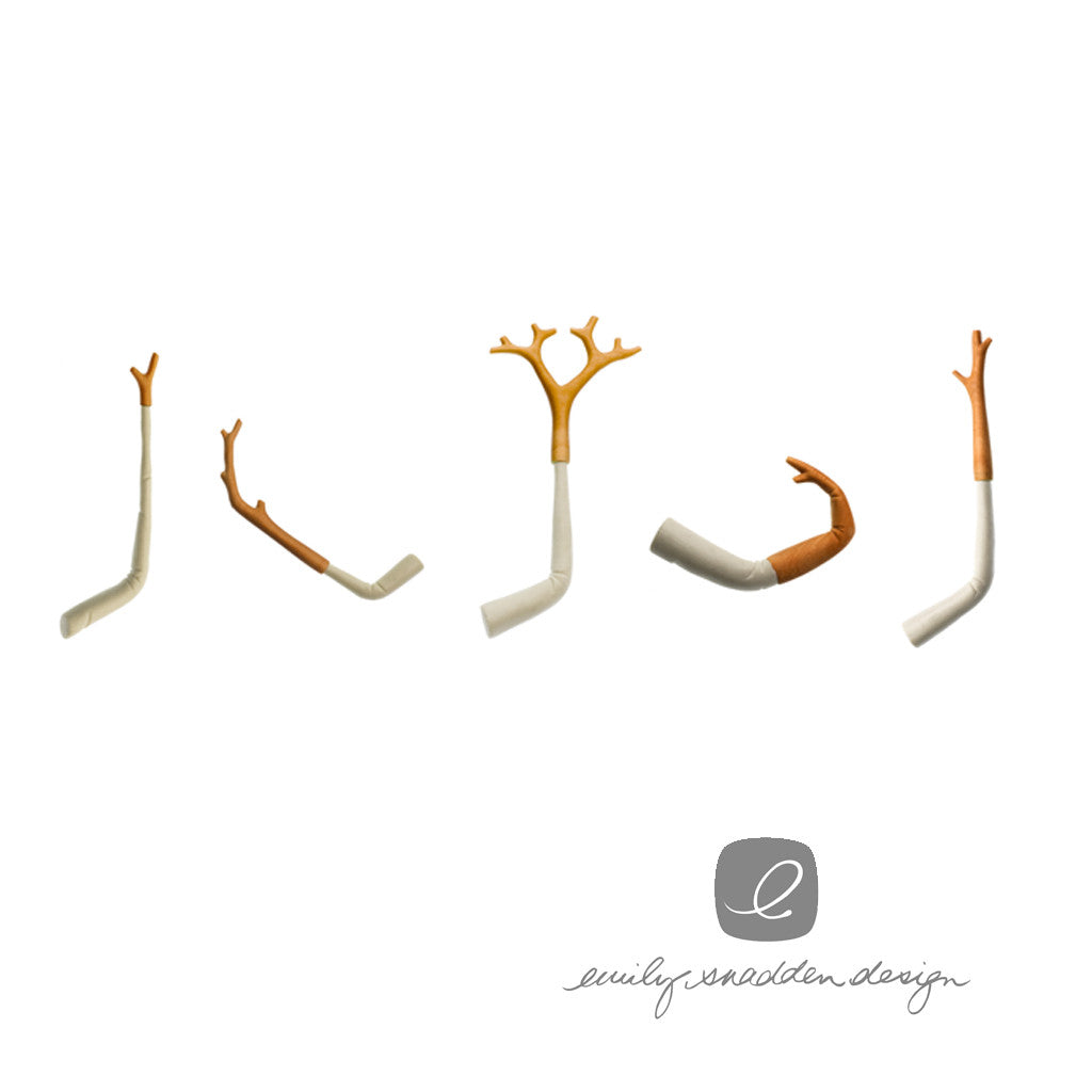 Huon pine branches