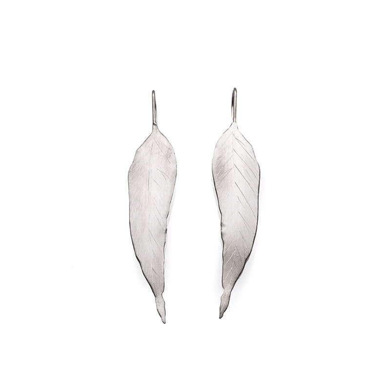 Eucalyptus Gunnii Statement Hooks