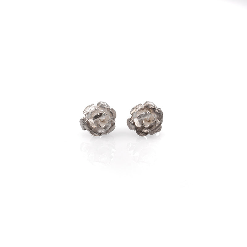Cecile Brunner Rose Studs