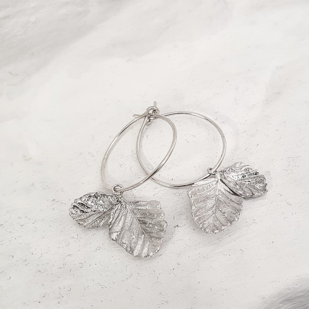 Nothofagus Gunnii double leaf hoops