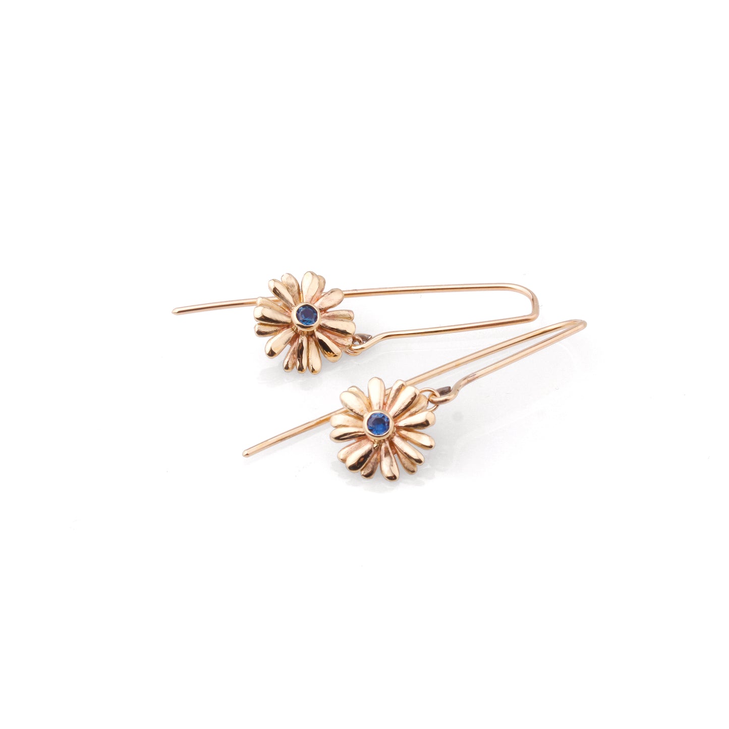 Native Highland Snow Daisy Collection