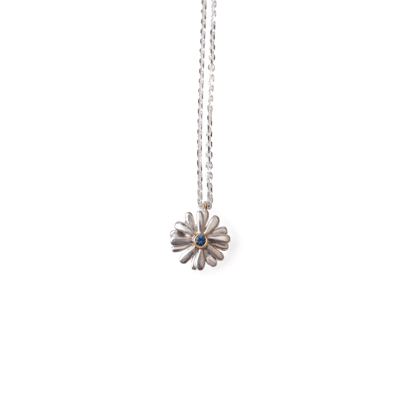 Native Highland Snow Daisy Collection