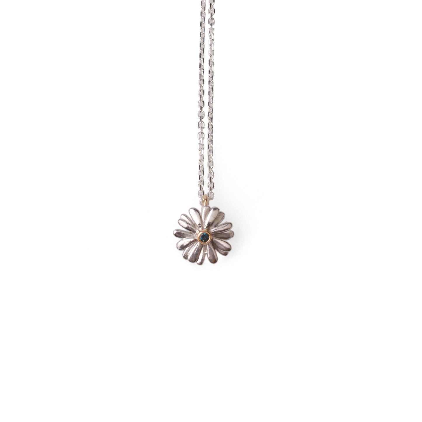 Native Highland Snow Daisy Collection