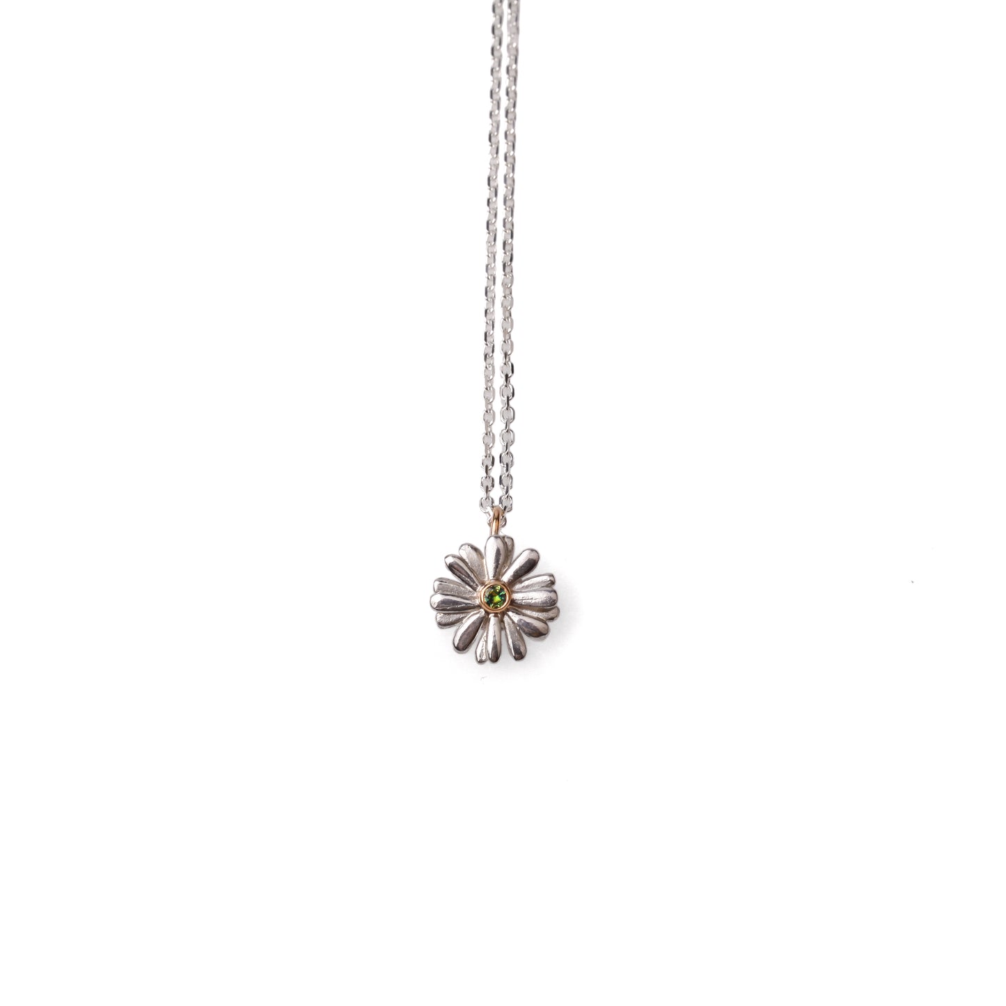 Native Highland Snow Daisy Collection