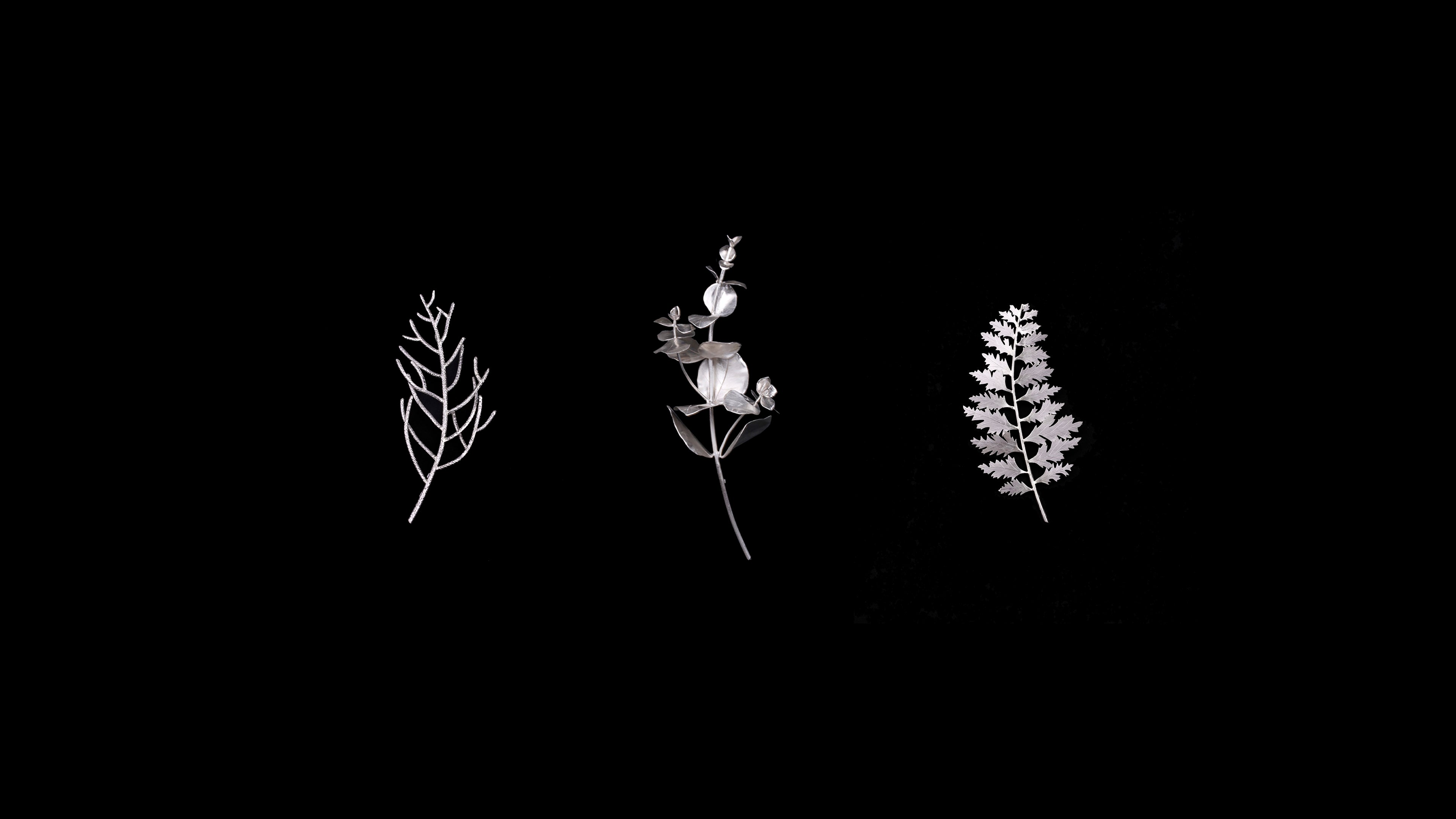 Endangered Endemic Flora Brooches, 2023. Pencil Pine, Morrisby's Gum, Kings Lomatia