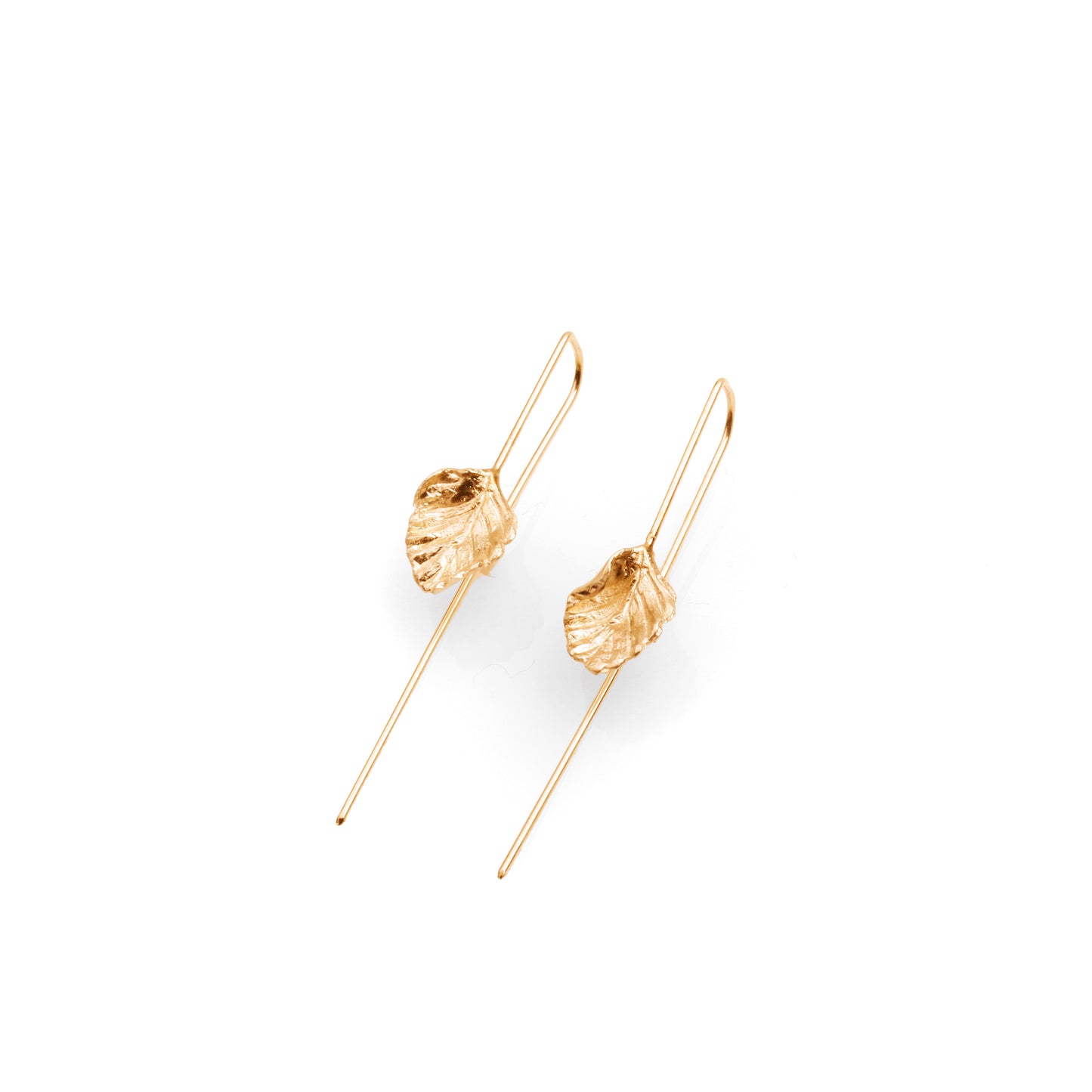 Nothofagus Gunnii Earrings