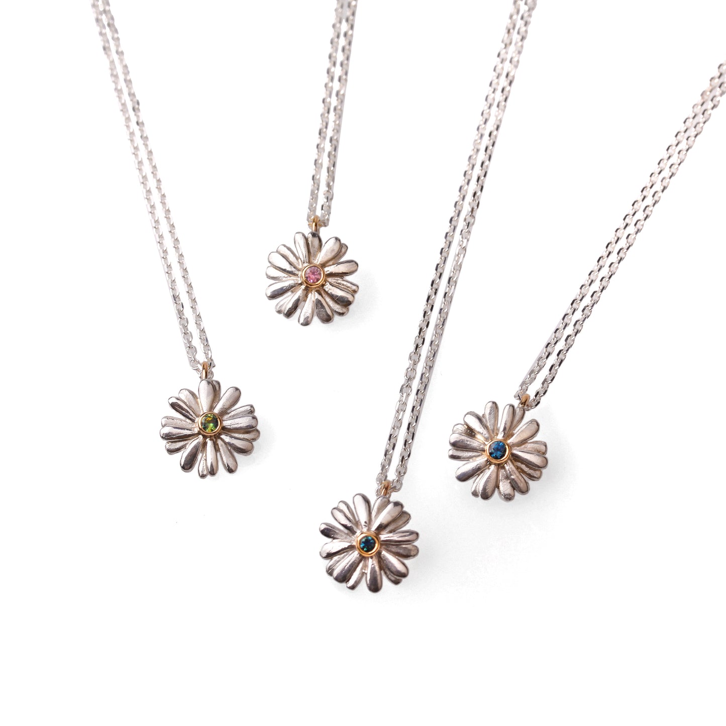 Native Highland Snow Daisy Collection
