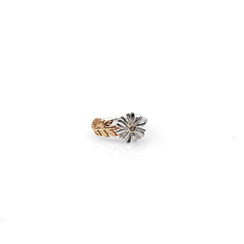 Native Highland Snow Daisy Collection