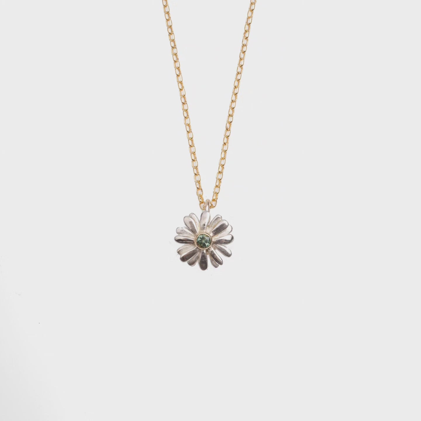 Native Highland Snow Daisy Collection