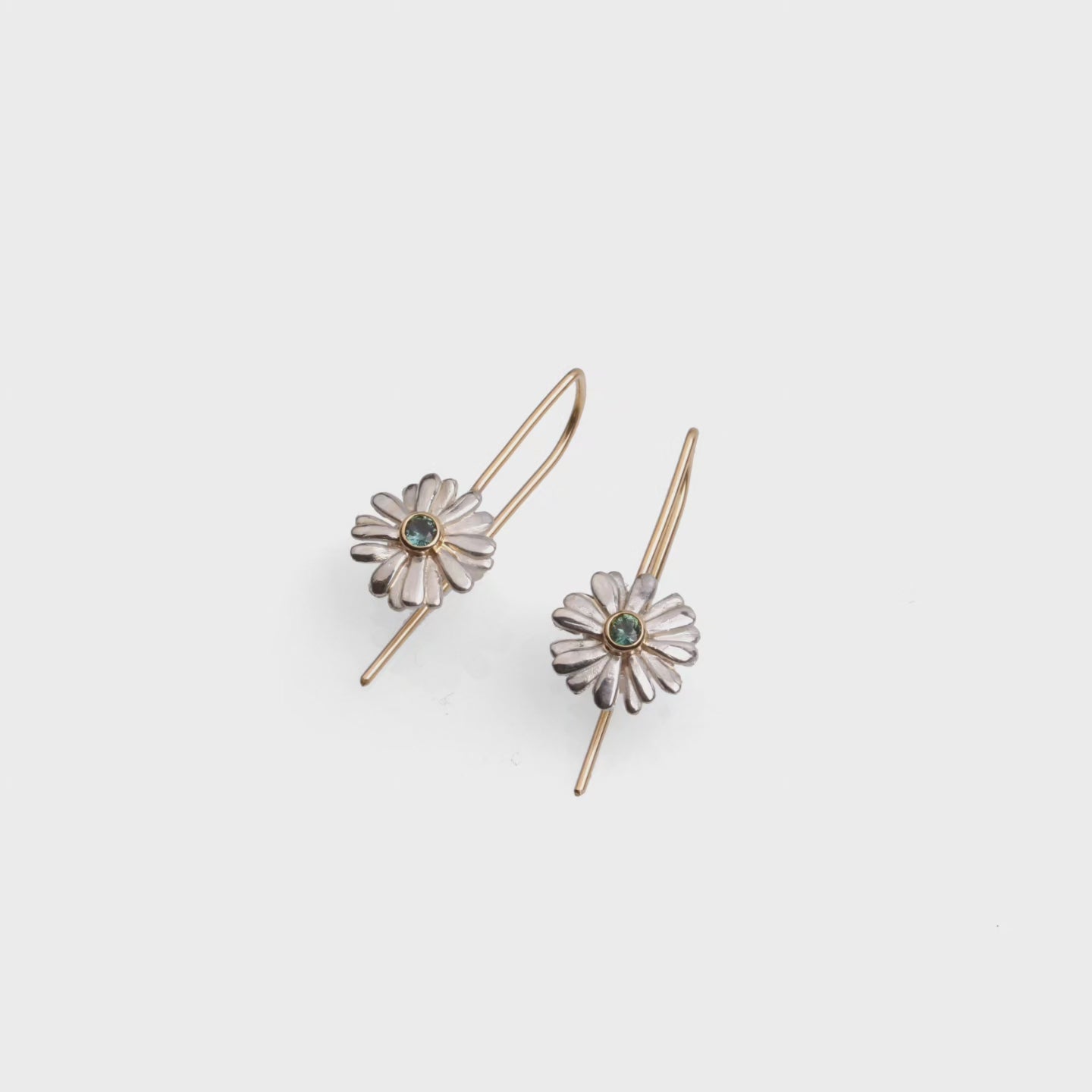 Native Highland Snow Daisy Collection