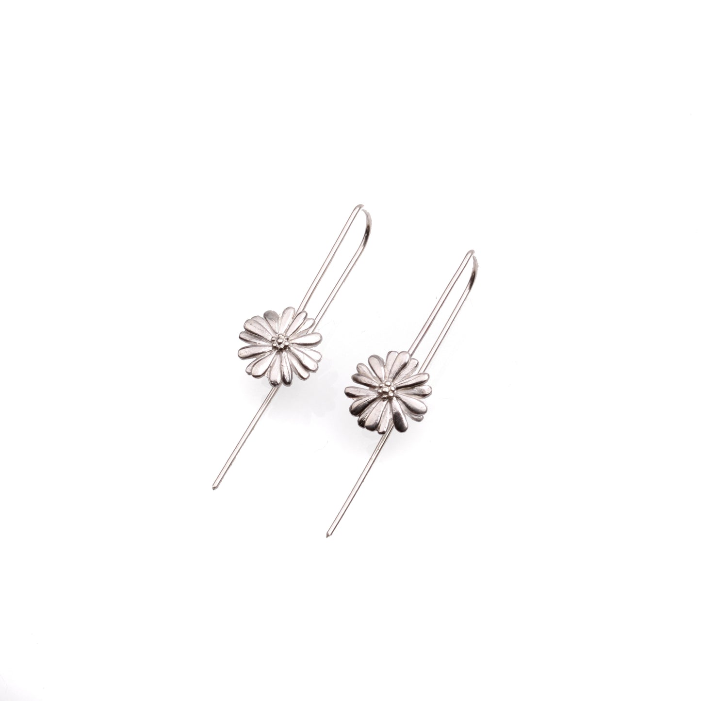 Native Highland Snow Daisy Collection