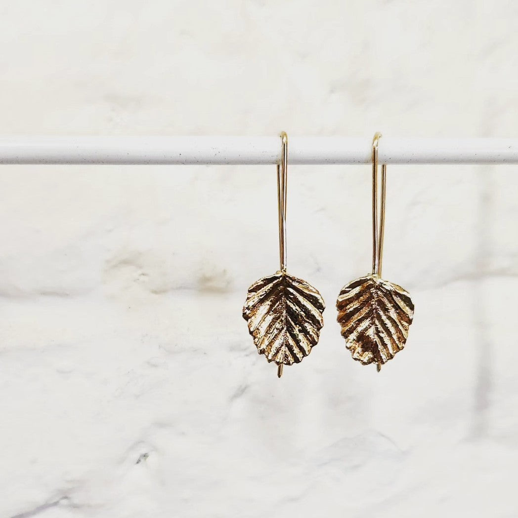 Nothofagus Gunnii Earrings