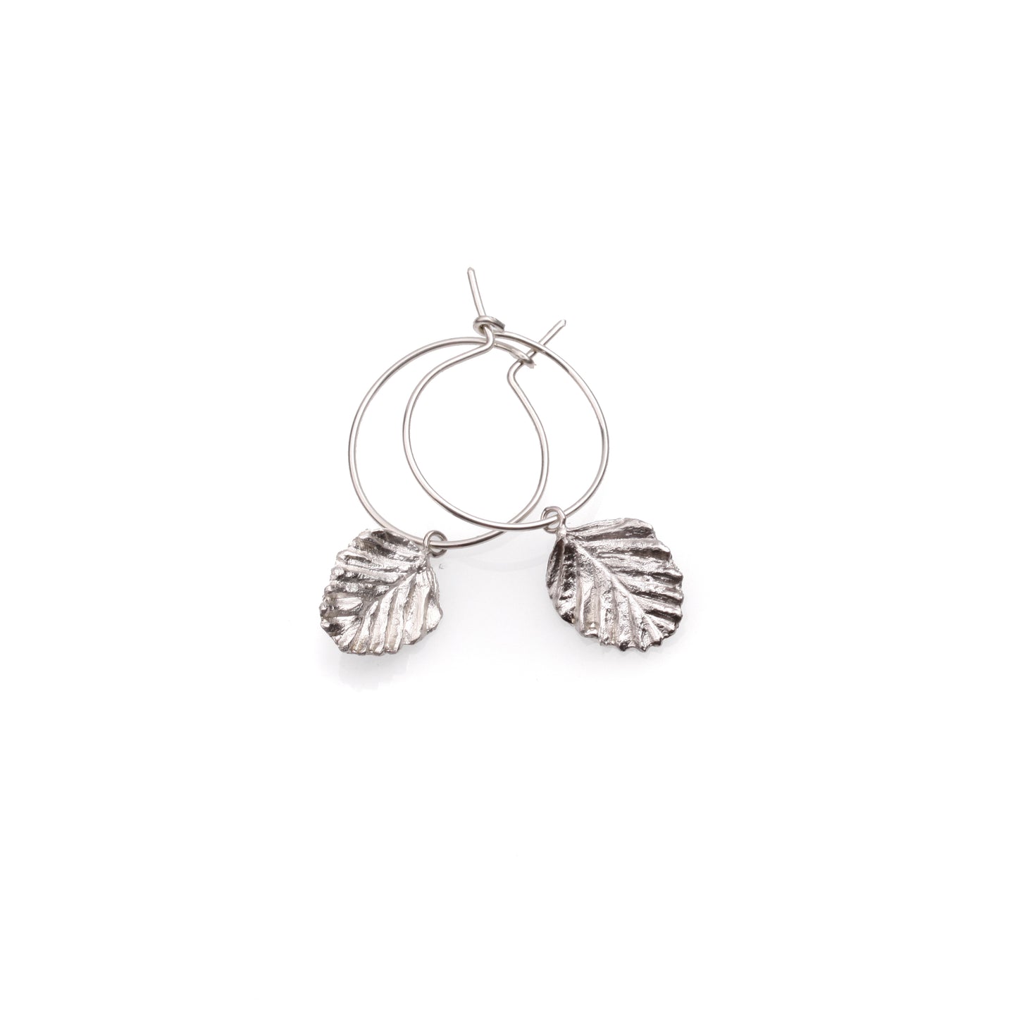 Nothofagus Gunnii Earrings