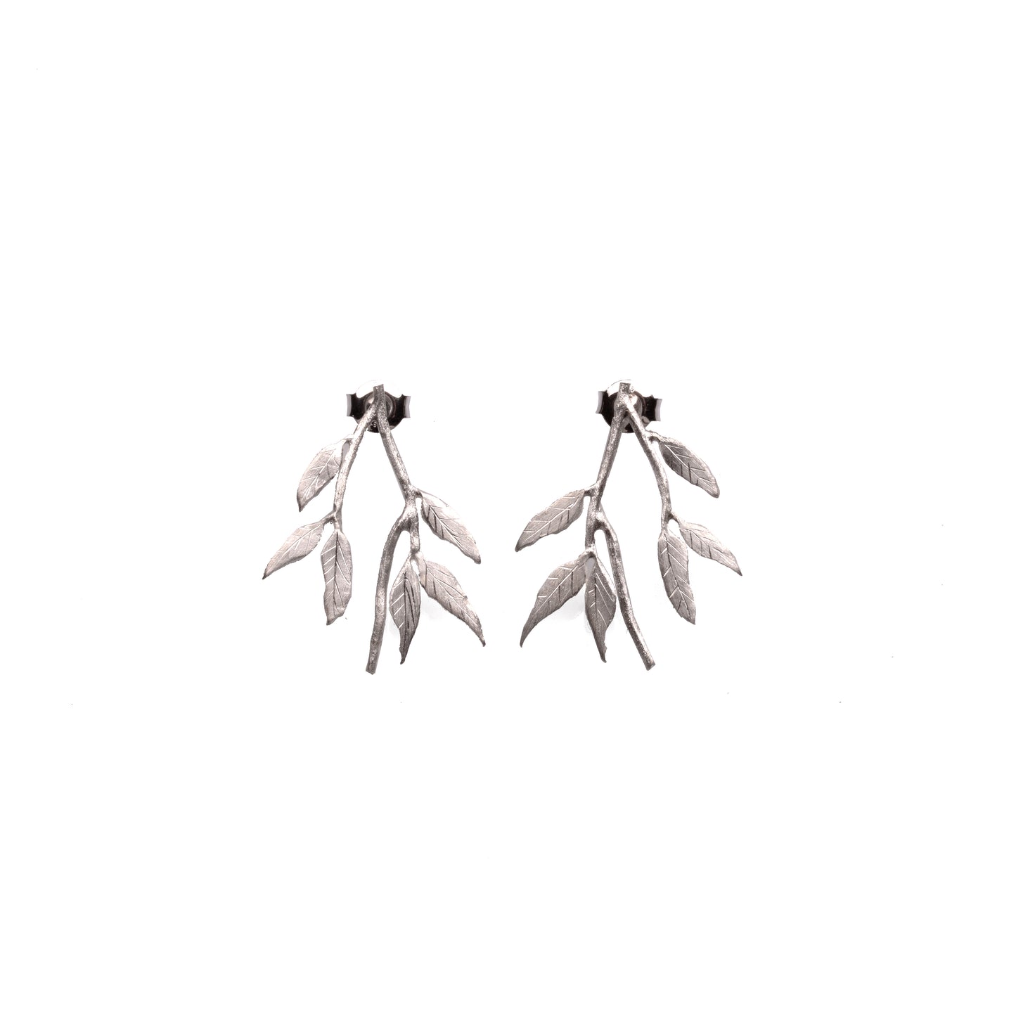 Eucalyptus Gunnii Stem Earrings