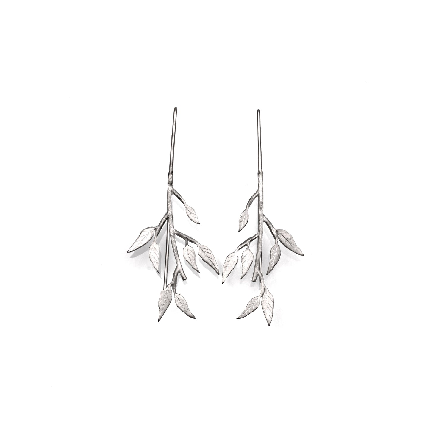 Eucalyptus Gunnii Stem Earrings